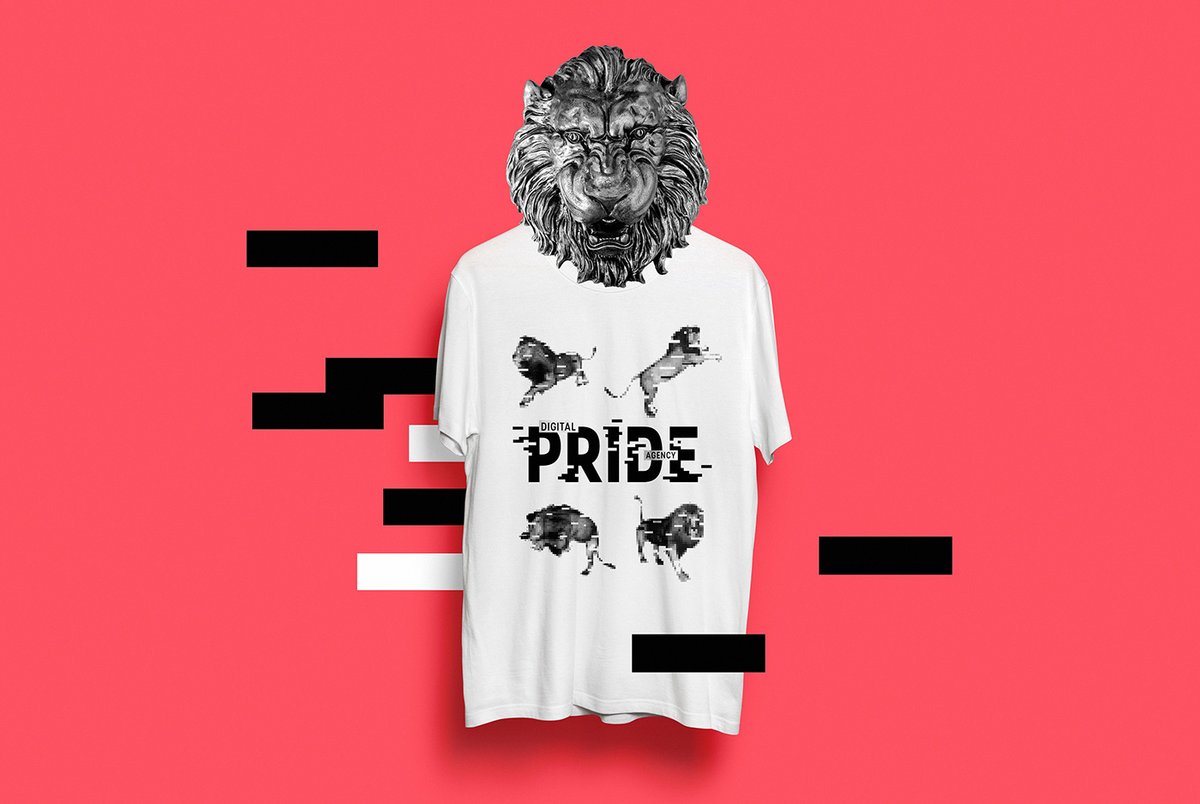 互聯(lián)網(wǎng)營銷企業(yè)Pride品牌形象設(shè)計