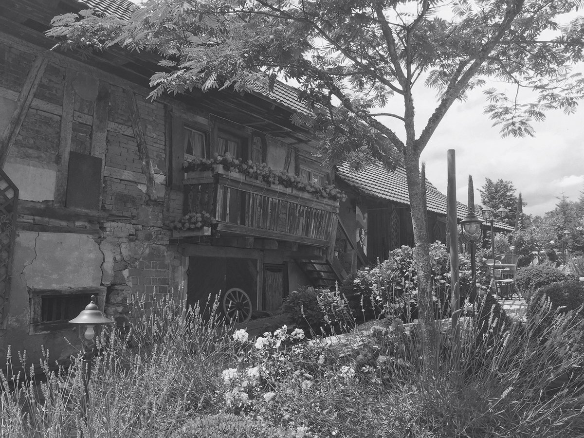 德國(guó)餐廳（餐飲）品牌標(biāo)志設(shè)計(jì)和品牌設(shè)計(jì)——logo與馬牧場(chǎng)背景相關(guān)，品牌設(shè)計(jì)，餐飲品牌設(shè)計(jì)，餐飲logo設(shè)計(jì)，餐廳品牌設(shè)計(jì)，品牌標(biāo)志設(shè)計(jì)，深圳品牌設(shè)計(jì)