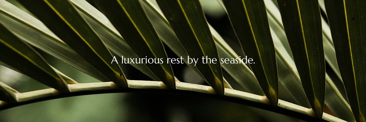 TULUM LUXURY海邊豪華酒店品牌設(shè)計(jì)和宣傳畫冊(cè)設(shè)計(jì)案例,品牌設(shè)計(jì)，酒店品牌設(shè)計(jì)，宣傳畫冊(cè)設(shè)計(jì)，酒店畫冊(cè)設(shè)計(jì)，深圳品牌設(shè)計(jì)