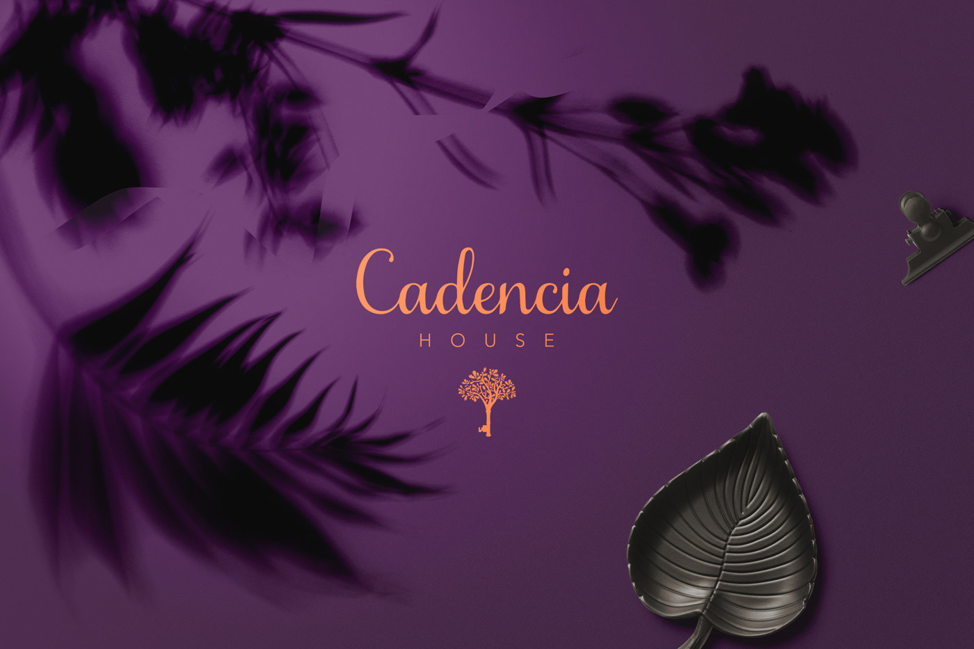 Cadencia時尚服裝品牌設(shè)計案例和品牌營銷，服裝品牌形象設(shè)計，品牌營銷，深圳品牌設(shè)計，左右格局