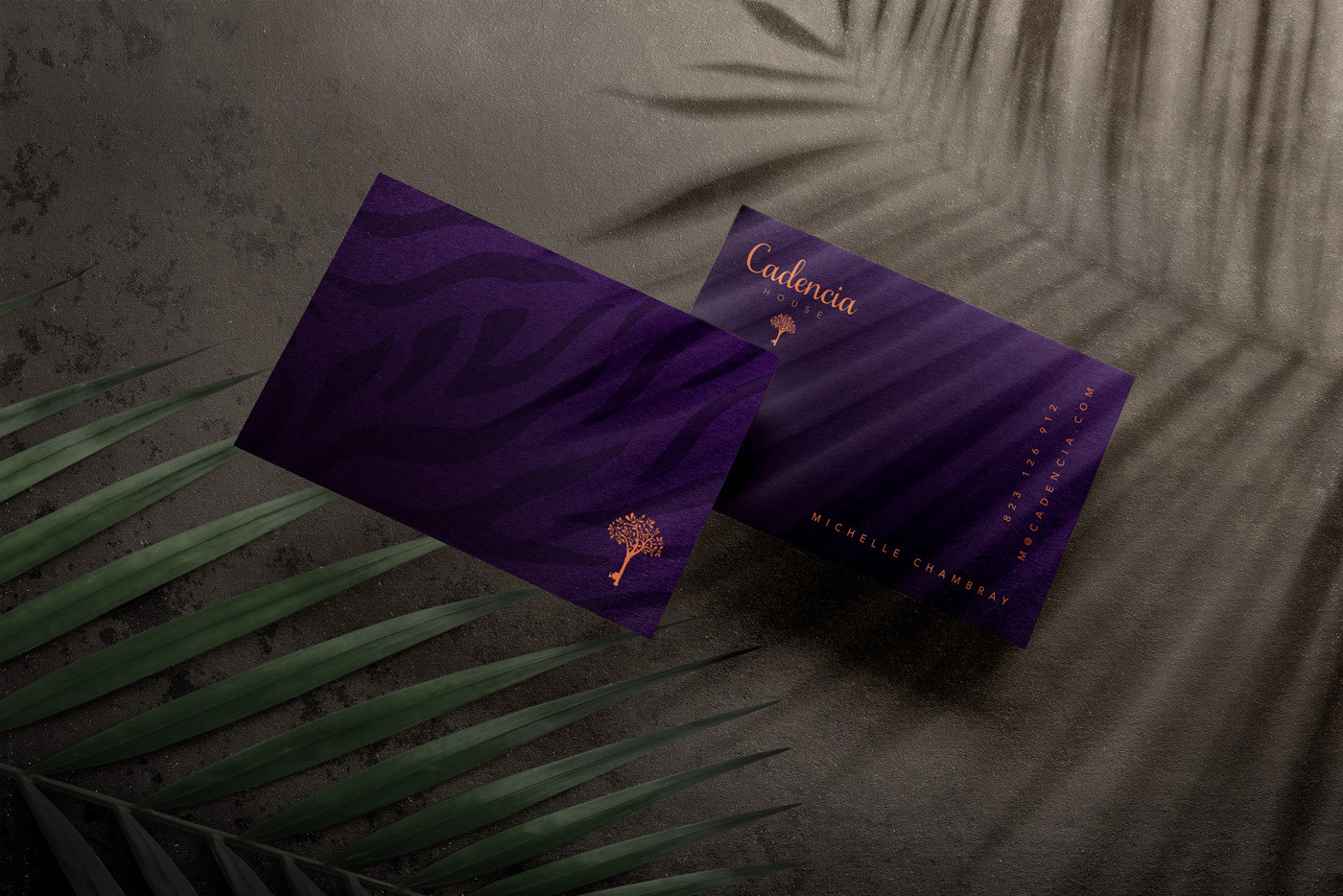 Cadencia時尚服裝品牌設(shè)計案例和品牌營銷，服裝品牌形象設(shè)計，品牌營銷，深圳品牌設(shè)計，左右格局