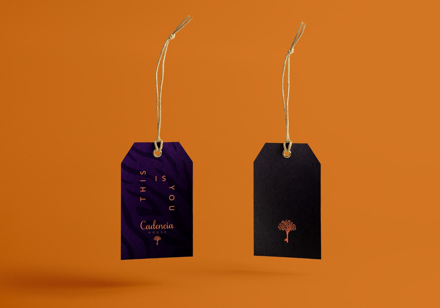 Cadencia時尚服裝品牌設(shè)計案例和品牌營銷，服裝品牌形象設(shè)計，品牌營銷，深圳品牌設(shè)計，左右格局