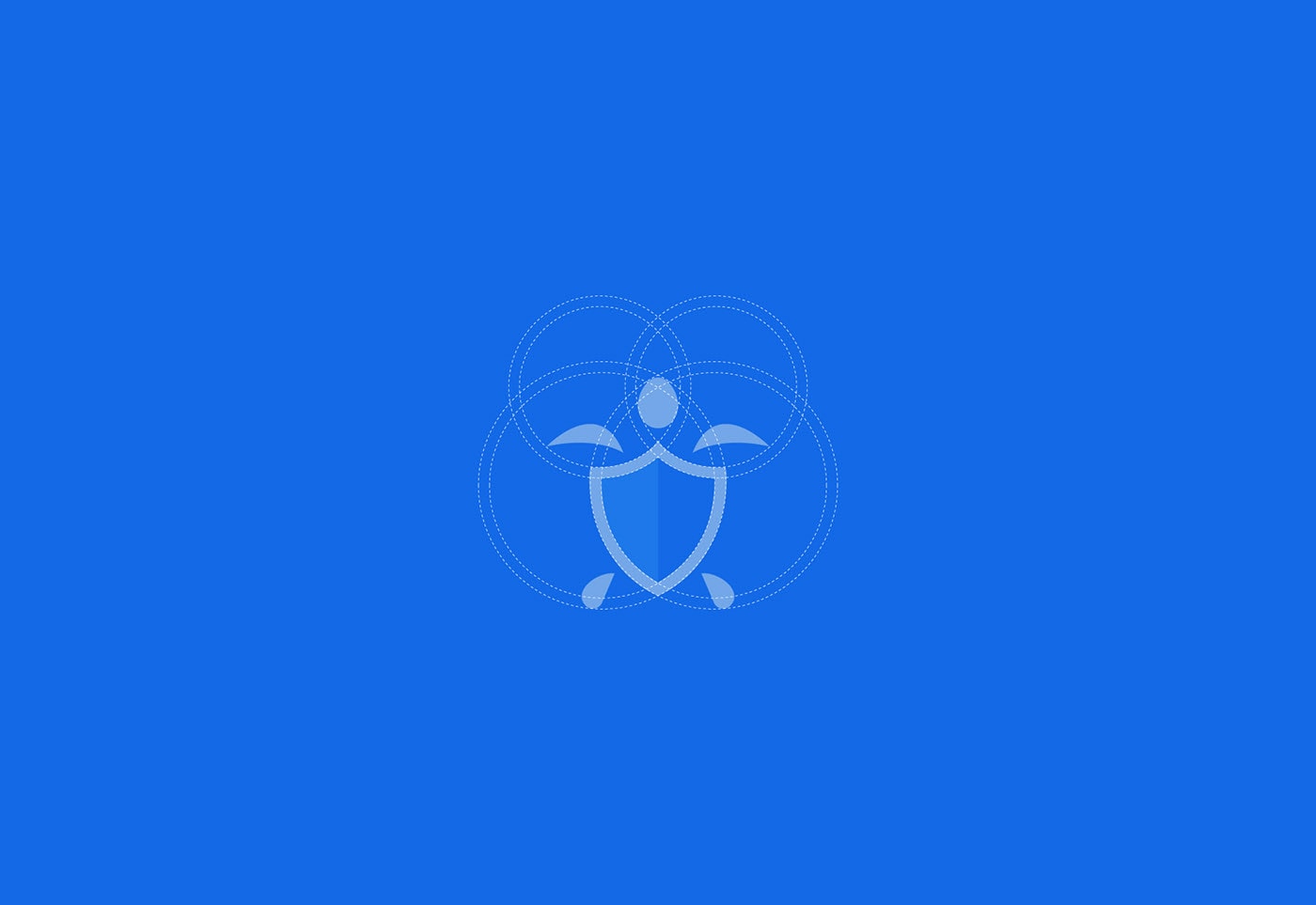 Securtle 網(wǎng)絡(luò)金融咨詢企業(yè)品牌視覺設(shè)計(jì)，金融品牌設(shè)計(jì)，品牌形象設(shè)計(jì)，品牌設(shè)計(jì)公司，左右格局