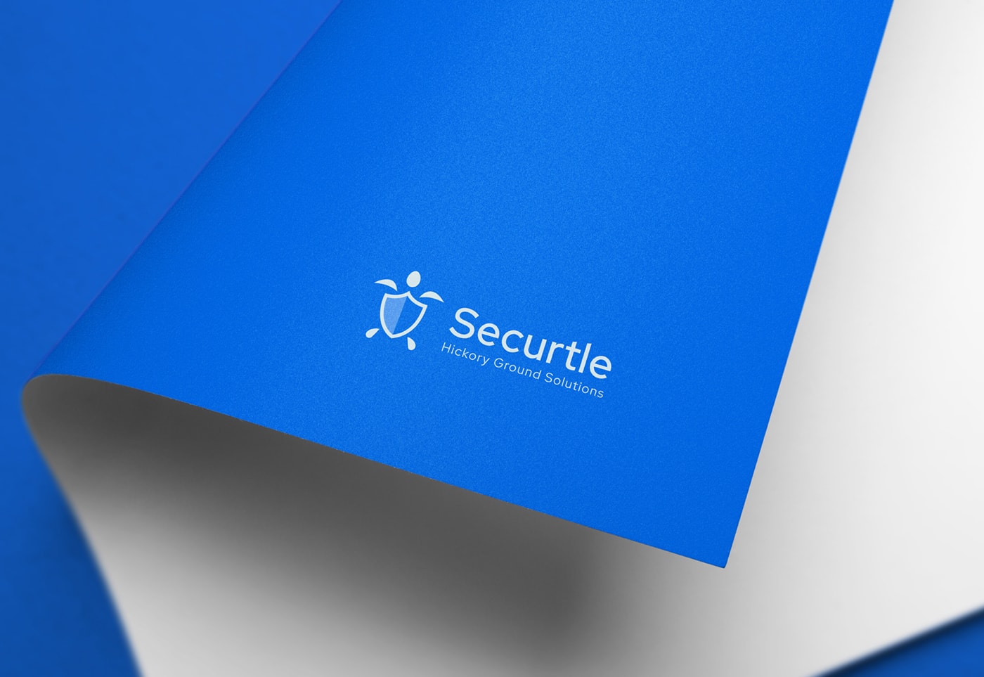 Securtle 網(wǎng)絡(luò)金融咨詢企業(yè)品牌視覺設(shè)計(jì)，金融品牌設(shè)計(jì)，品牌形象設(shè)計(jì)，品牌設(shè)計(jì)公司，左右格局