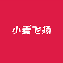 小麥飛揚(yáng)科技品牌形象塑造（金融外包）